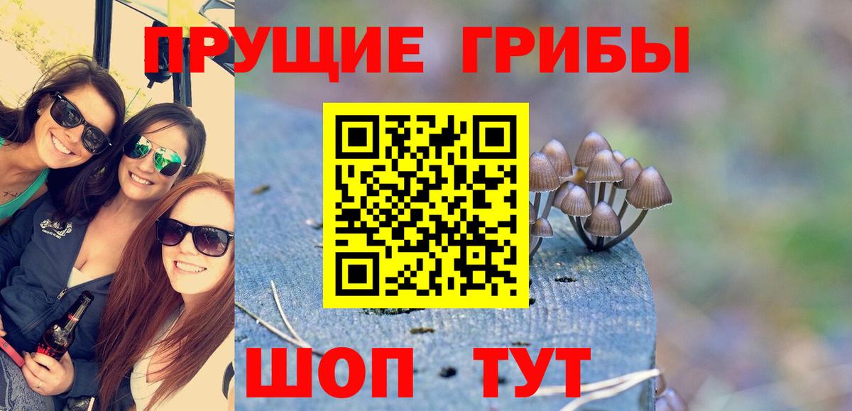 Галлюциногенные грибы MAGIC MUSHROOMS Владикавказ