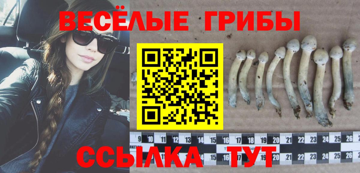 Псилоцибиновые грибы Psilocybine cubensis  Псилоцибиновые грибы Psilocybine cubensis  Вход с VPN  Владикавказ 