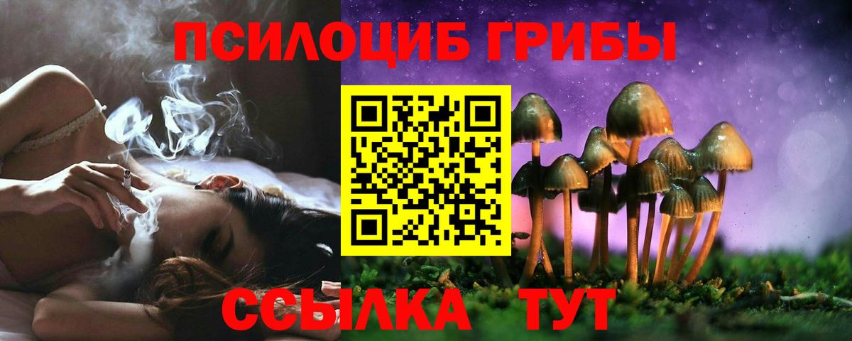 Псилоцибиновые грибы прущие грибы  Владикавказ 